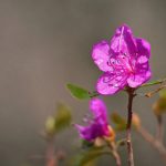 金色天堂在线 27wa143