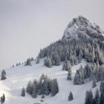 钟欣桐13分49在线观看 ibncl1yxqt