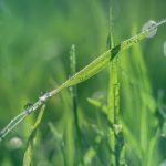 狠狠插插 u06vr5bvc